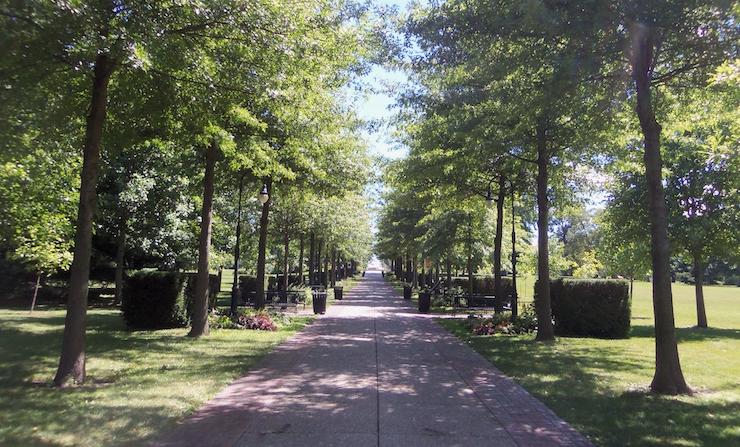 Vander Veer Park